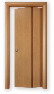 Folding Door